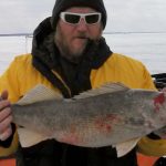 Lake Erie Walleye